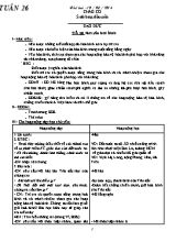 Kế hoạch bài học tuần 26 lớp 5 - Năm học 2013-2014